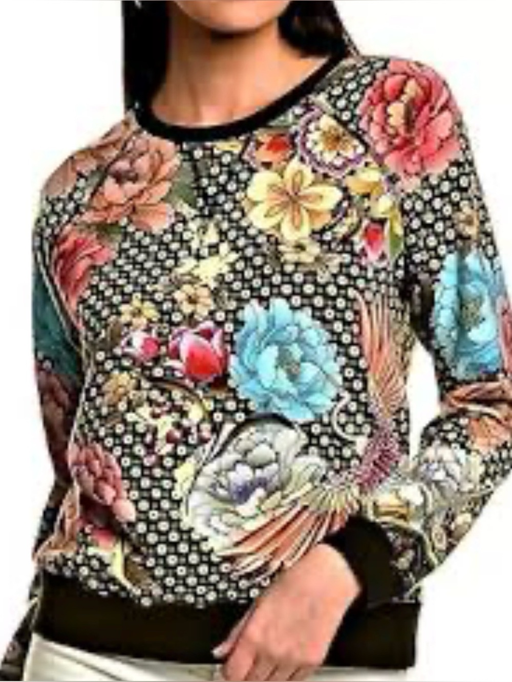 Johnny Was Multicolor Floral & Crane Print Black Sweatshirt